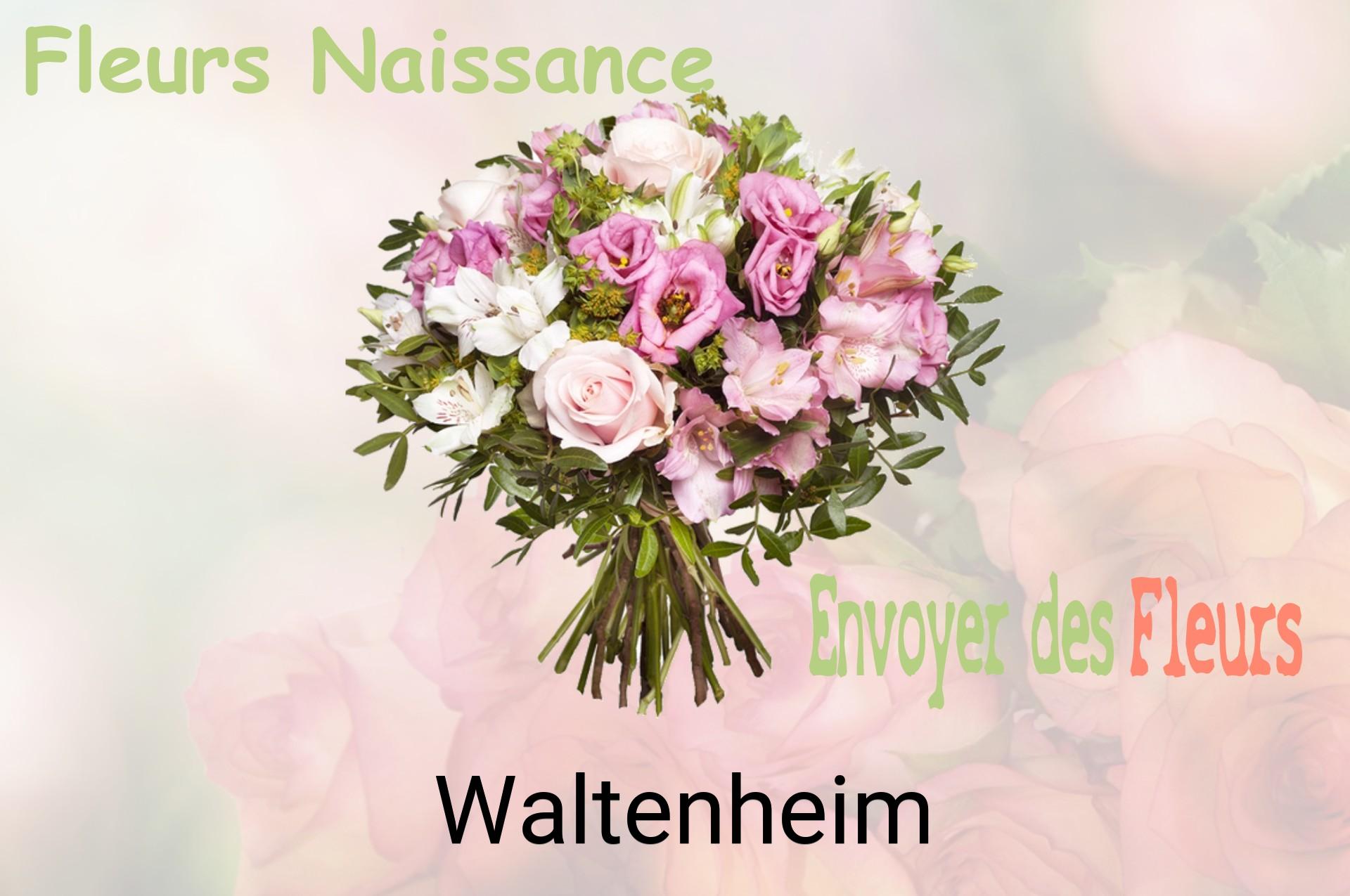 Bouquet de fleurs de naissance livré à Waltenheim